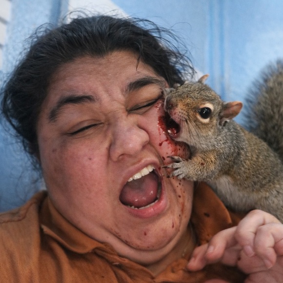 squirrel puppet attack - Picture 8 of 8